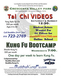 Flyer images for downloading